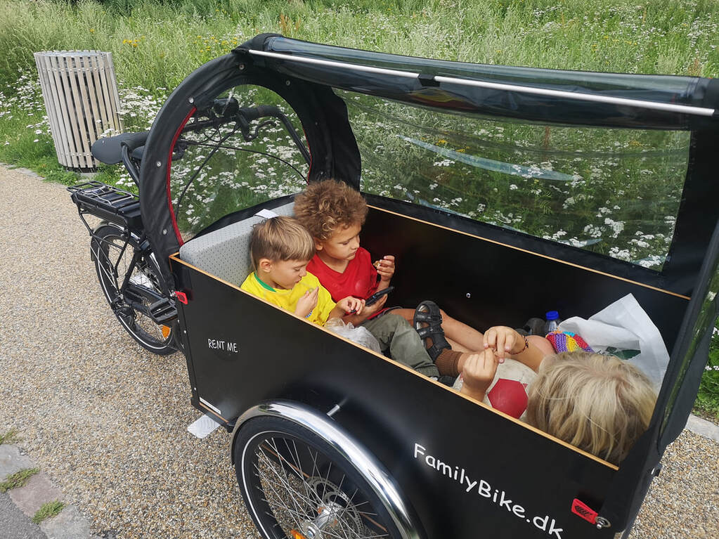 Bicicleta de carga para 3 niños